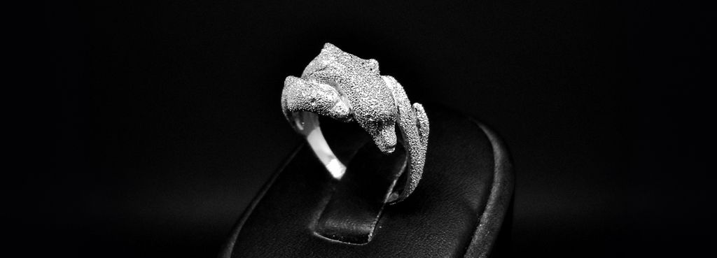 anello con delfino in argento